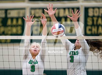 Thumbnail 2 in Walker vs. Harrison photogallery.