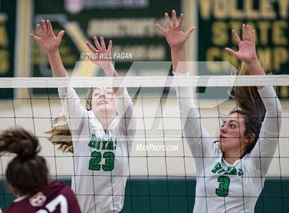 Thumbnail 2 in Walker vs. Harrison photogallery.