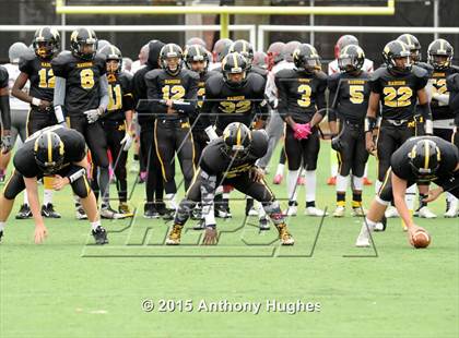 Thumbnail 1 in Roosevelt @ Madison (PSAL Bowl Quarter Finals) photogallery.