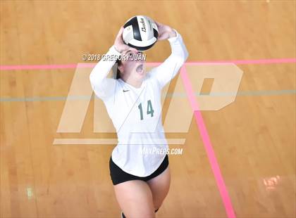 Thumbnail 1 in Archbishop Chapelle vs Cabrini (Catholic League Tournament) photogallery.
