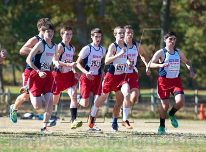 Thumbnail 1 in Section 8 Class 2 Cross Country Championships (Boys) photogallery.