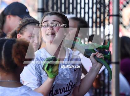 Thumbnail 2 in Star City vs Morrilton (AAA 4A State Playoff Round 2) photogallery.