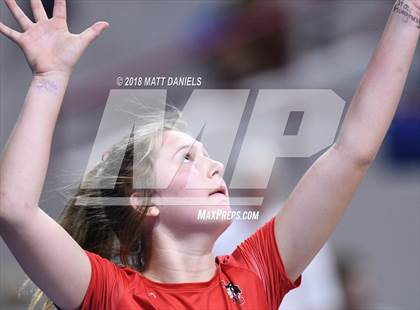 Thumbnail 1 in Yuma vs. Denver Christian (CHSAA 2A Final) photogallery.