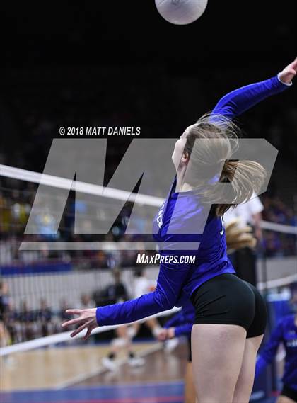 Thumbnail 1 in Yuma vs. Denver Christian (CHSAA 2A Final) photogallery.