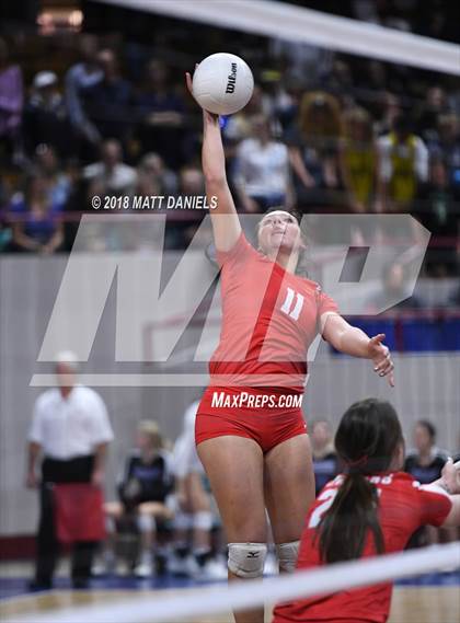 Thumbnail 2 in Yuma vs. Denver Christian (CHSAA 2A Final) photogallery.
