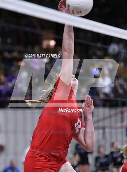 Thumbnail 1 in Yuma vs. Denver Christian (CHSAA 2A Final) photogallery.