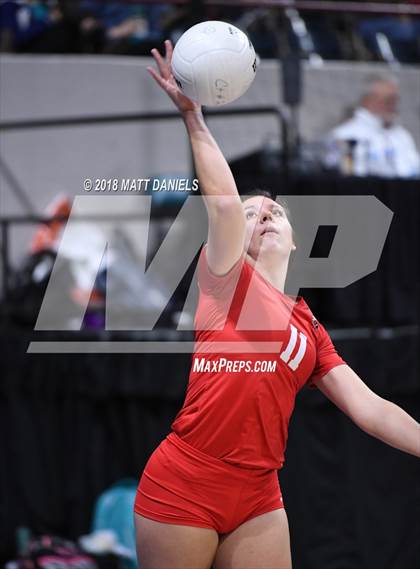 Thumbnail 3 in Yuma vs. Denver Christian (CHSAA 2A Final) photogallery.