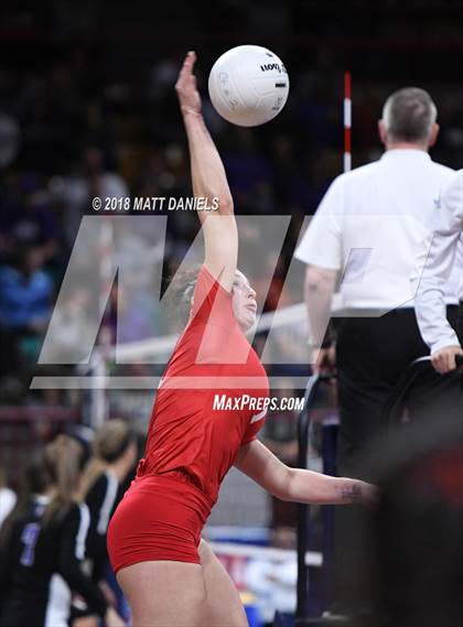 Thumbnail 2 in Yuma vs. Denver Christian (CHSAA 2A Final) photogallery.
