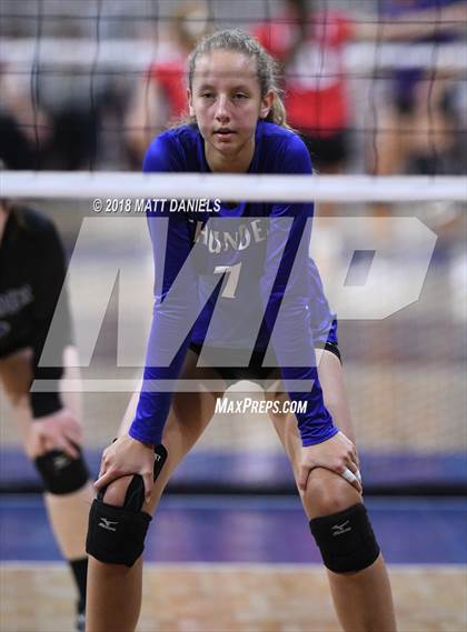 Thumbnail 3 in Yuma vs. Denver Christian (CHSAA 2A Final) photogallery.