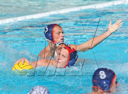 Thumbnail 1 in Serra vs. Great Oak photogallery.
