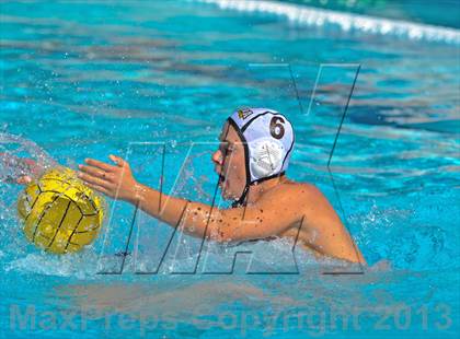 Thumbnail 1 in Serra vs. Great Oak photogallery.