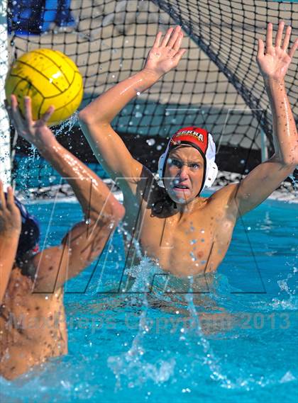 Thumbnail 1 in Serra vs. Great Oak photogallery.