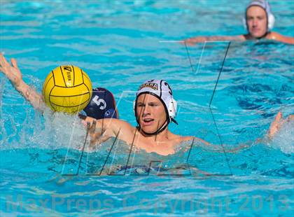 Thumbnail 2 in Serra vs. Great Oak photogallery.