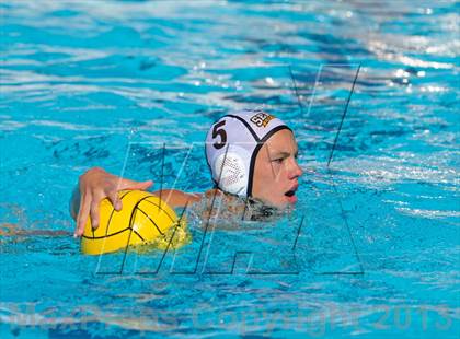 Thumbnail 1 in Serra vs. Great Oak photogallery.