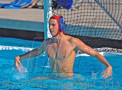 Thumbnail 1 in Serra vs. Great Oak photogallery.