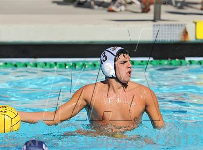 Thumbnail 1 in Serra vs. Great Oak photogallery.