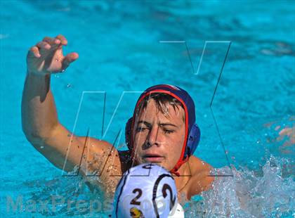 Thumbnail 1 in Serra vs. Great Oak photogallery.