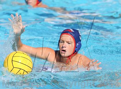 Thumbnail 1 in Serra vs. Great Oak photogallery.