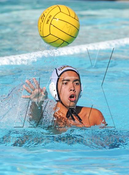 Thumbnail 3 in Serra vs. Great Oak photogallery.