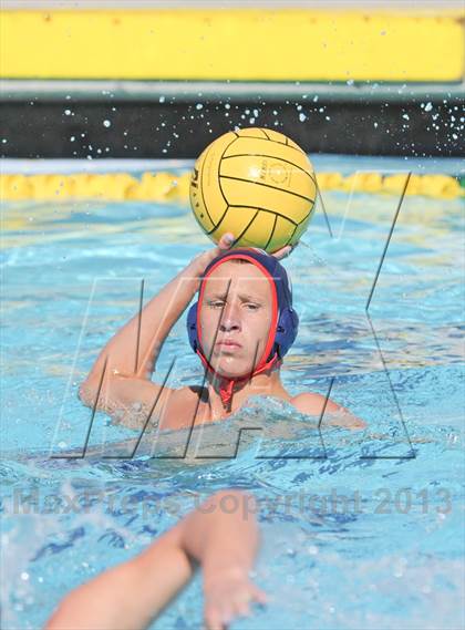 Thumbnail 1 in Serra vs. Great Oak photogallery.