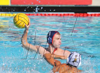 Thumbnail 1 in Serra vs. Great Oak photogallery.