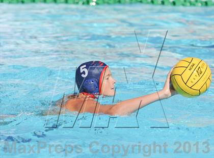 Thumbnail 1 in Serra vs. Great Oak photogallery.