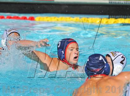 Thumbnail 1 in Serra vs. Great Oak photogallery.