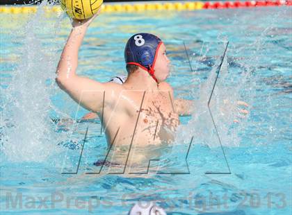 Thumbnail 1 in Serra vs. Great Oak photogallery.