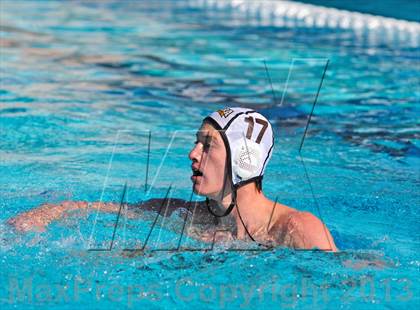 Thumbnail 1 in Serra vs. Great Oak photogallery.
