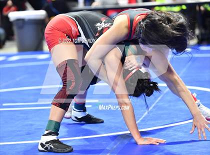 Thumbnail 1 in 2022 UIL State Championships - Session 1 photogallery.