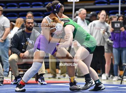Thumbnail 1 in 2022 UIL State Championships - Session 1 photogallery.