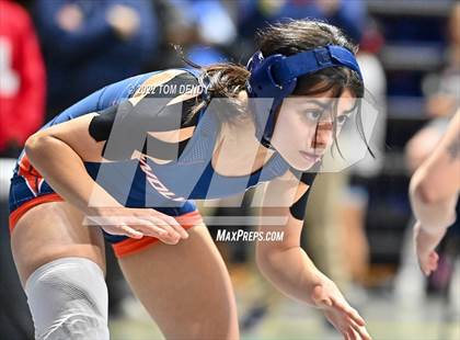 Thumbnail 1 in 2022 UIL State Championships - Session 1 photogallery.