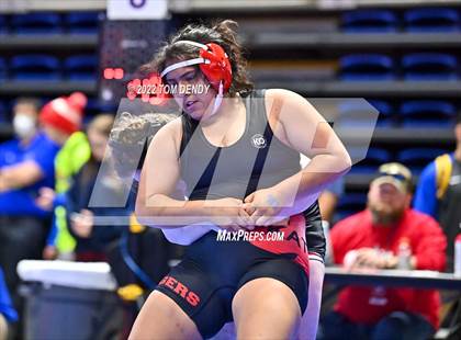 Thumbnail 1 in 2022 UIL State Championships - Session 1 photogallery.