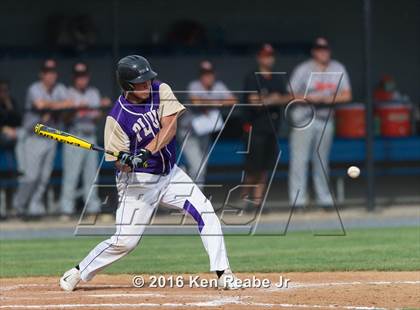 Thumbnail 1 in Plum vs. Marple Newtown (PIAA Class AAAA Semifinal) photogallery.