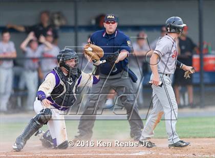Thumbnail 1 in Plum vs. Marple Newtown (PIAA Class AAAA Semifinal) photogallery.