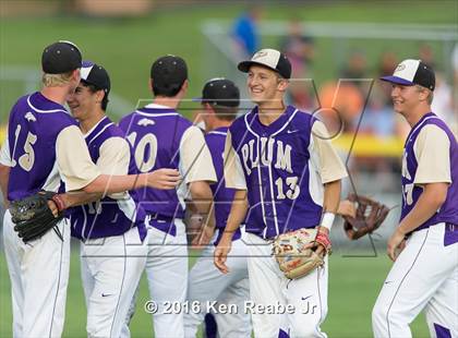 Thumbnail 1 in Plum vs. Marple Newtown (PIAA Class AAAA Semifinal) photogallery.