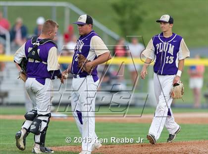 Thumbnail 1 in Plum vs. Marple Newtown (PIAA Class AAAA Semifinal) photogallery.