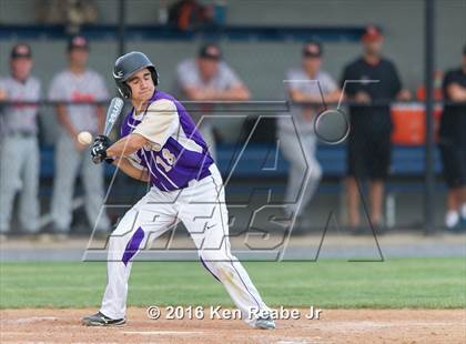 Thumbnail 1 in Plum vs. Marple Newtown (PIAA Class AAAA Semifinal) photogallery.