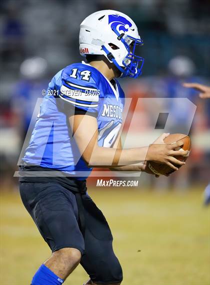 Thumbnail 3 in Benjamin Franklin @ Mesquite photogallery.