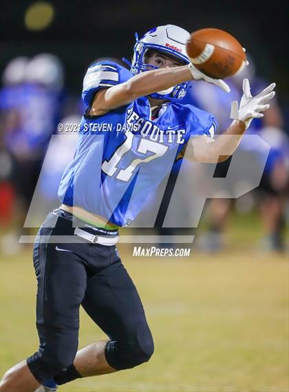 Thumbnail 2 in Benjamin Franklin @ Mesquite photogallery.