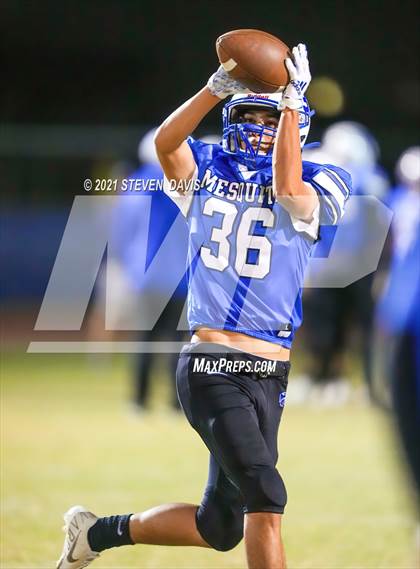 Thumbnail 3 in Benjamin Franklin @ Mesquite photogallery.