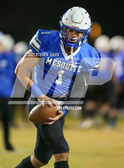 Thumbnail 3 in Benjamin Franklin @ Mesquite photogallery.