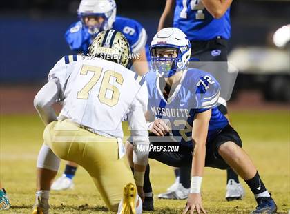 Thumbnail 2 in Benjamin Franklin @ Mesquite photogallery.