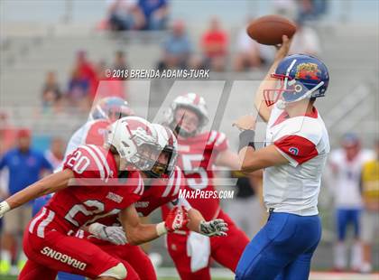 Thumbnail 1 in Kokomo @ New Palestine photogallery.