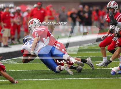 Thumbnail 1 in Kokomo @ New Palestine photogallery.