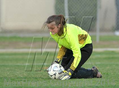 Thumbnail 3 in Yreka @ Winters (CIF NS D2 Playoff) photogallery.