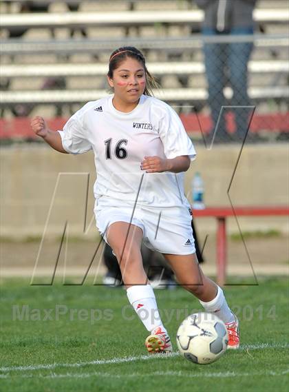 Thumbnail 2 in Yreka @ Winters (CIF NS D2 Playoff) photogallery.