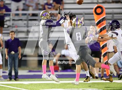 Thumbnail 3 in Navarro @ Marble Falls photogallery.