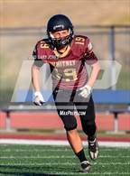 Photo from the gallery "Antelope @ Whitney"