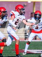 Photo from the gallery "Antelope @ Whitney"